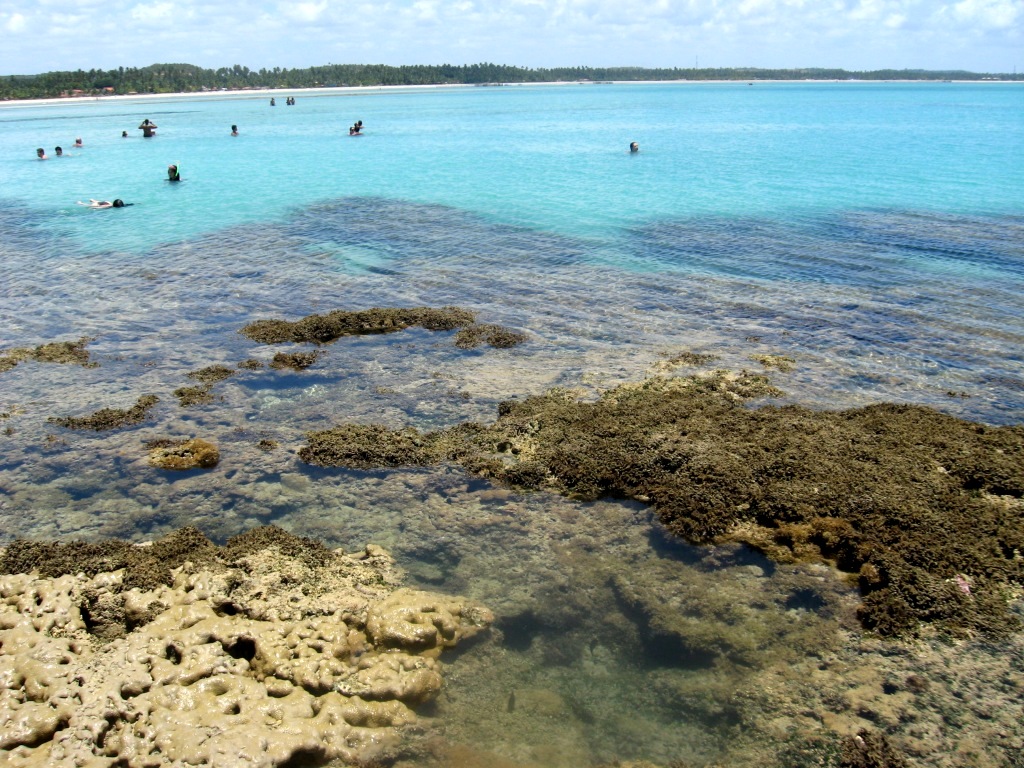 Maragogi (33)