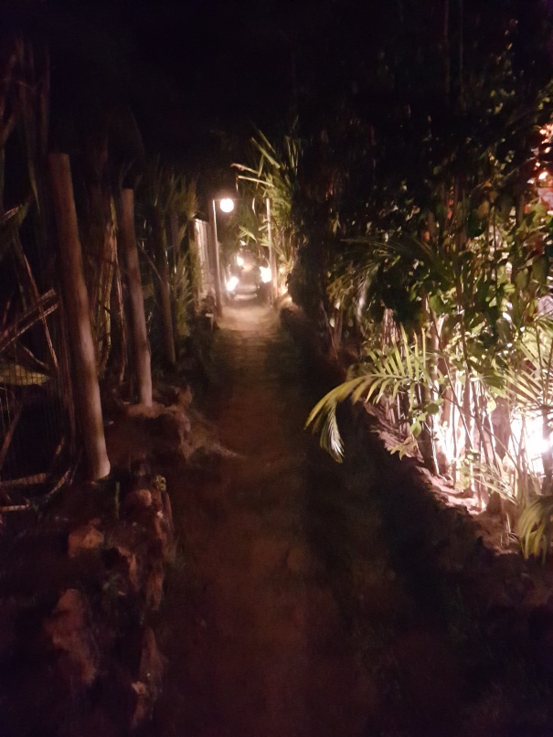 resize_20180316_194601