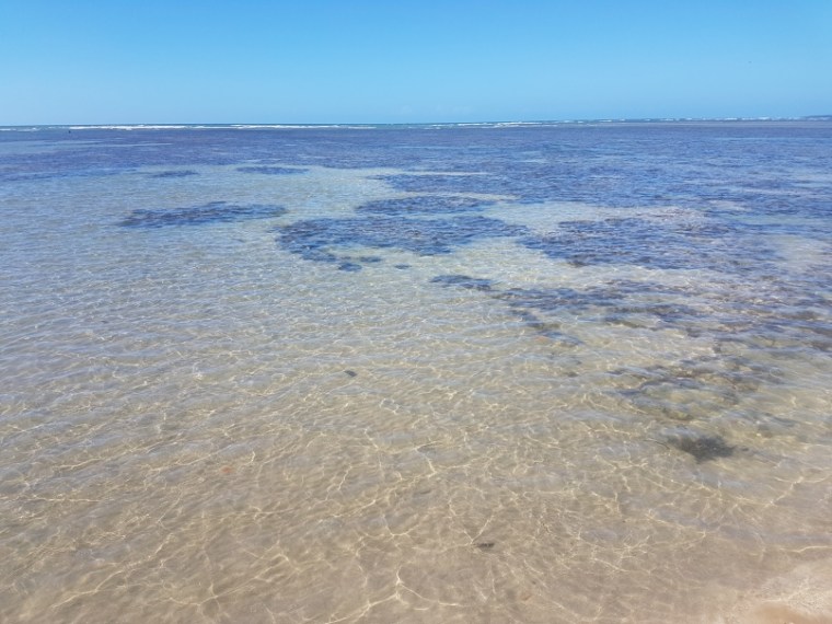 resize_20180624_093914