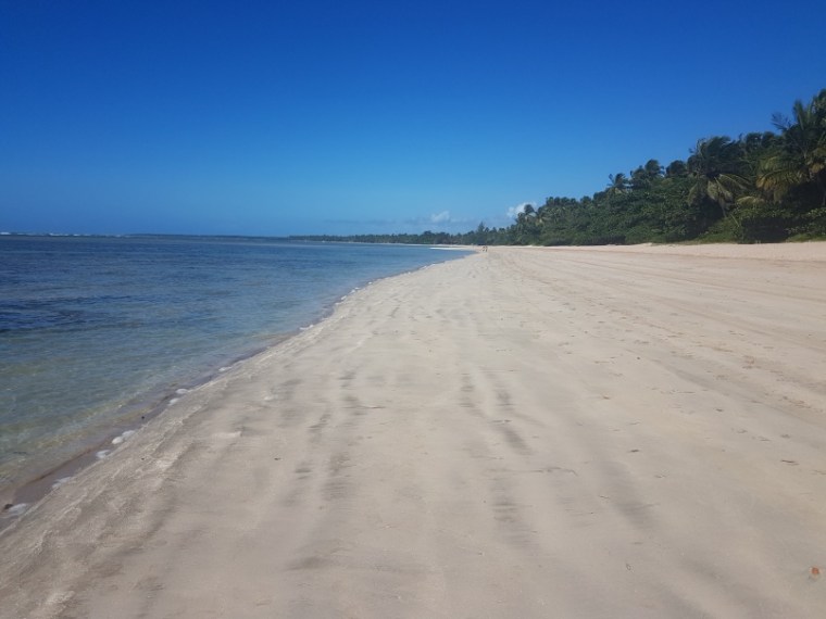 resize_20180624_094908