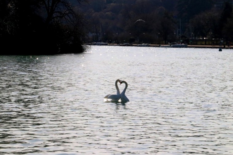 Alpes Franceses 2019 (21)