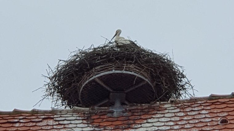 Alemanha, Alsacia e Austria (1084)