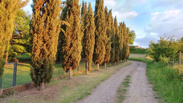 Italia - Celular - 2019 (627)