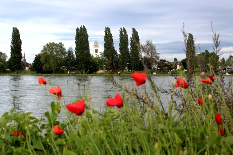 Strasbourg - 2016 - 6 (371)