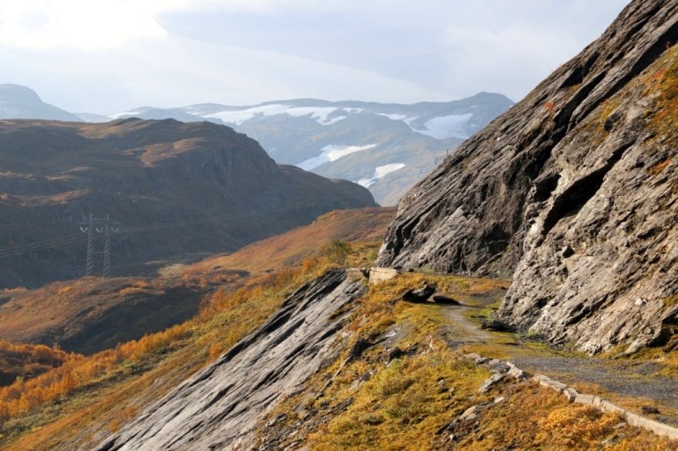 Fiordes Noruegueses Flam (10)