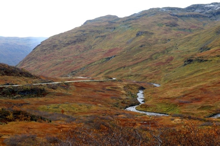 Fiordes Noruegueses Flam (13)