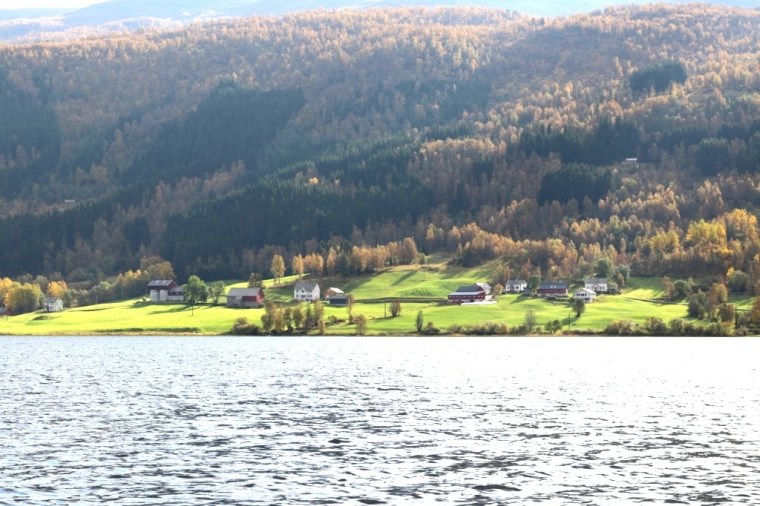 Fiordes Noruegueses Flam (19)