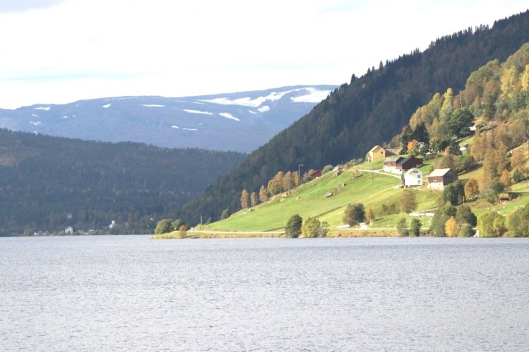 Fiordes Noruegueses Flam (20)