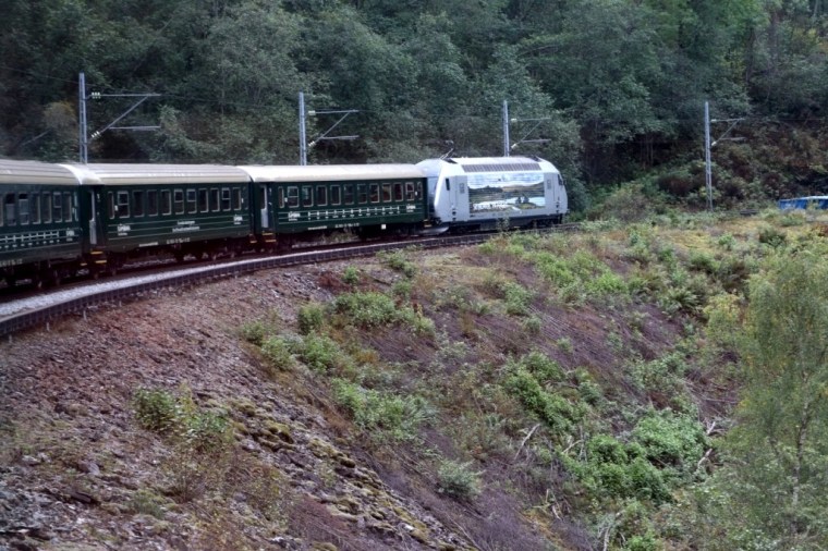 Fiordes Noruegueses Flam (30)