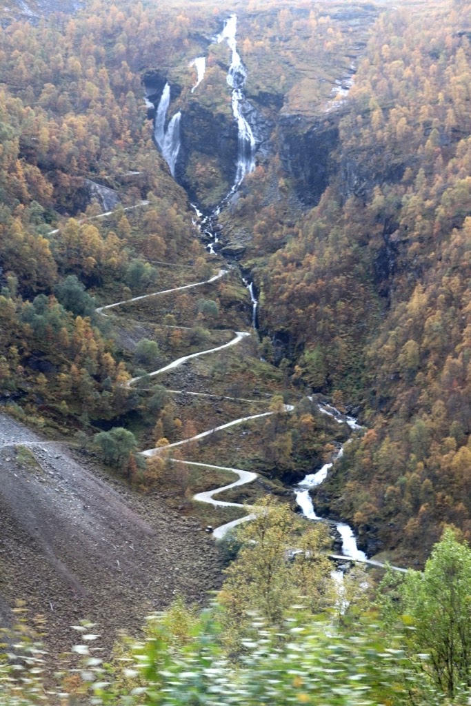 Fiordes Noruegueses Flam (31)