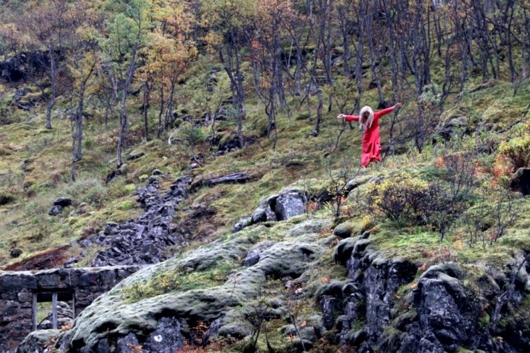 Fiordes Noruegueses Flam (35)