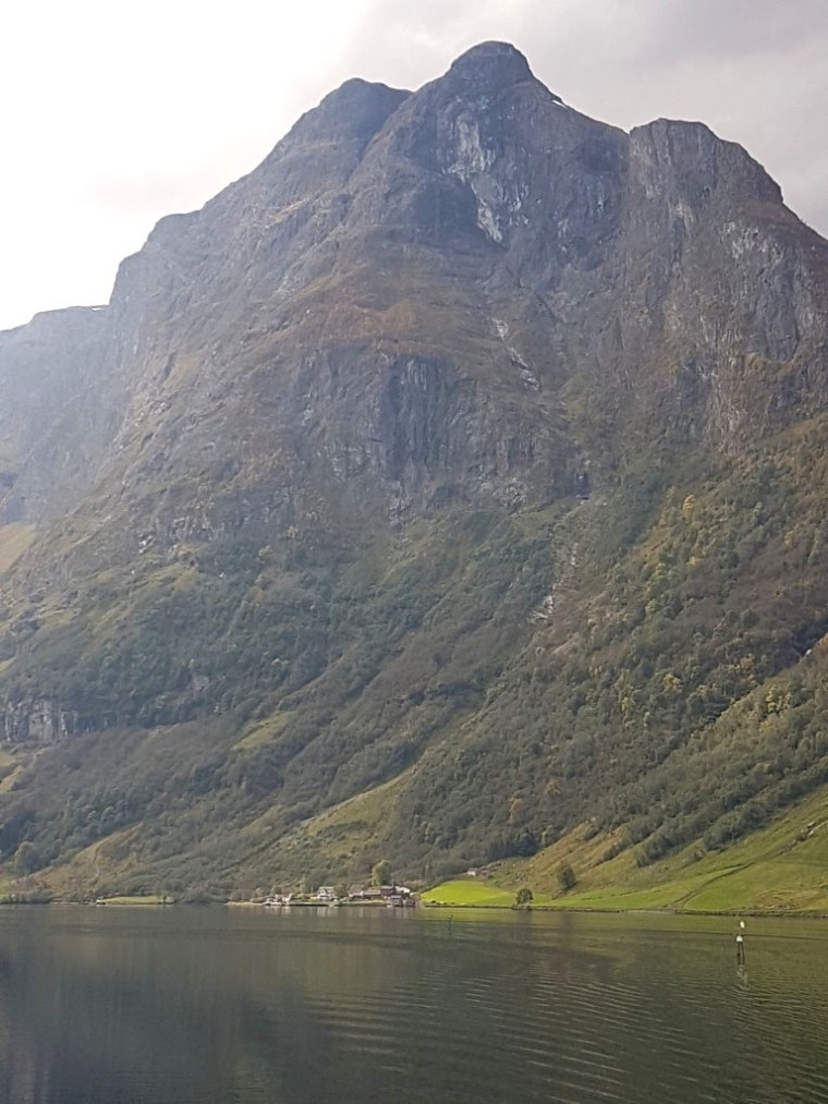 Fiordes Noruegueses Flam (4)