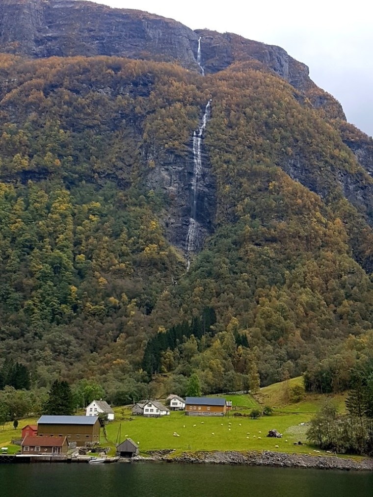 Fiordes Noruegueses Flam (5)