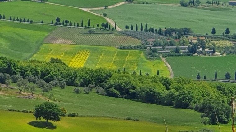 Italia - Celular - 2019 (803)