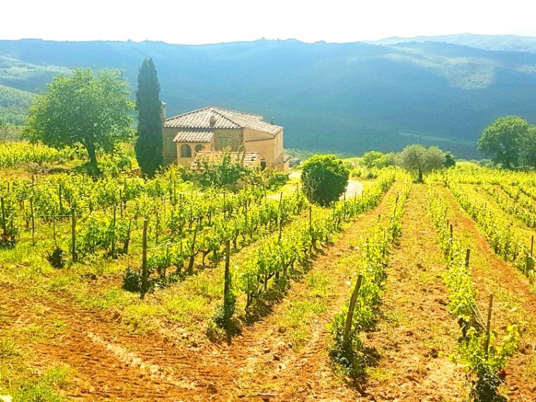 Toscana Pequeno 2018 - 5 (84)