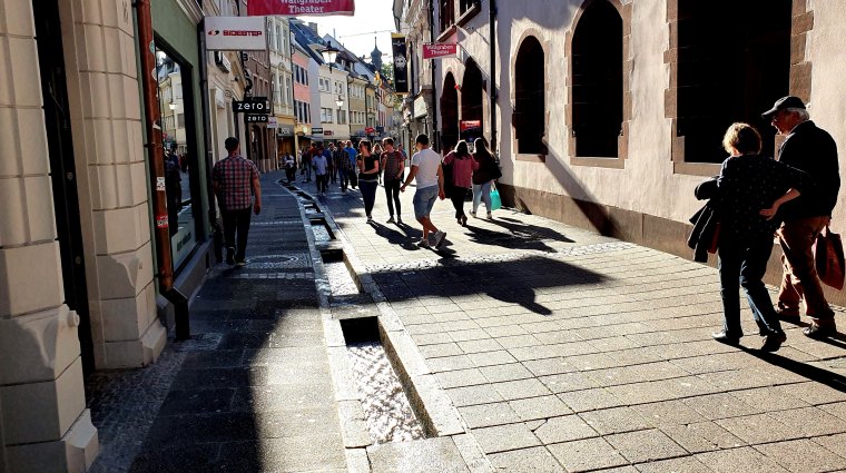 Freiburg - Floresta Negra (11)