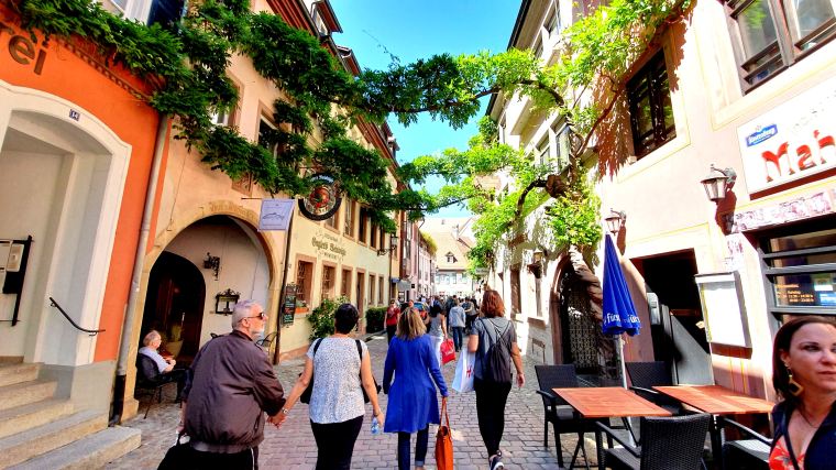 Freiburg - Floresta Negra (6)