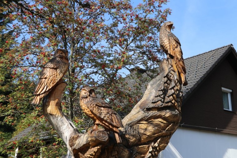 Titisee - Floresta Negra 2018 (6)