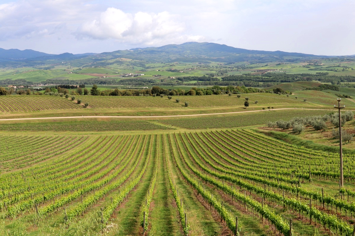 Toscana Pequeno 2018 - 4 (83)