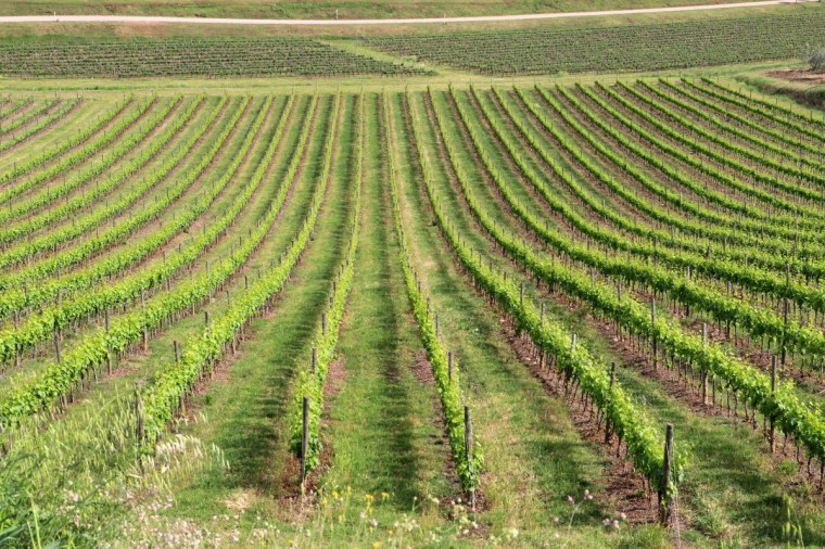 Toscana Pequeno 2018 - 4 (84)