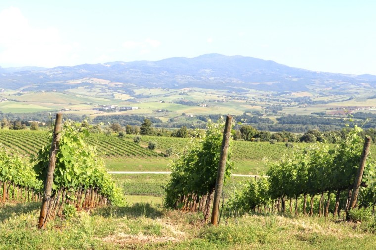 Toscana Pequeno 2018 - 5 (384)