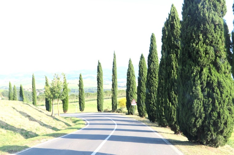 Toscana Pequeno 2018 - 5 (391)