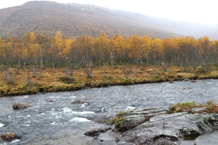 Fiordes Noruegueses 2017 - 9 (52)