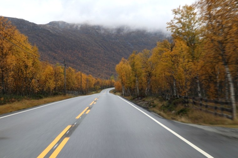 Fiordes Noruegueses 2017 - 9 (63)