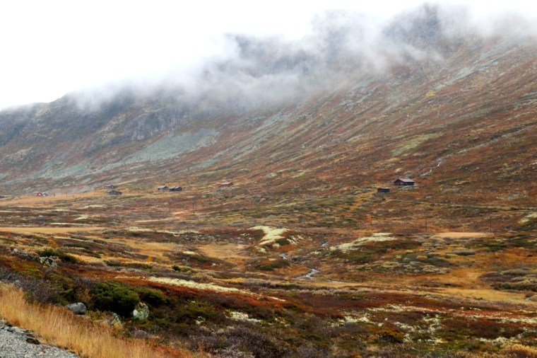 Fiordes Noruegueses 2017 - 9 (70)