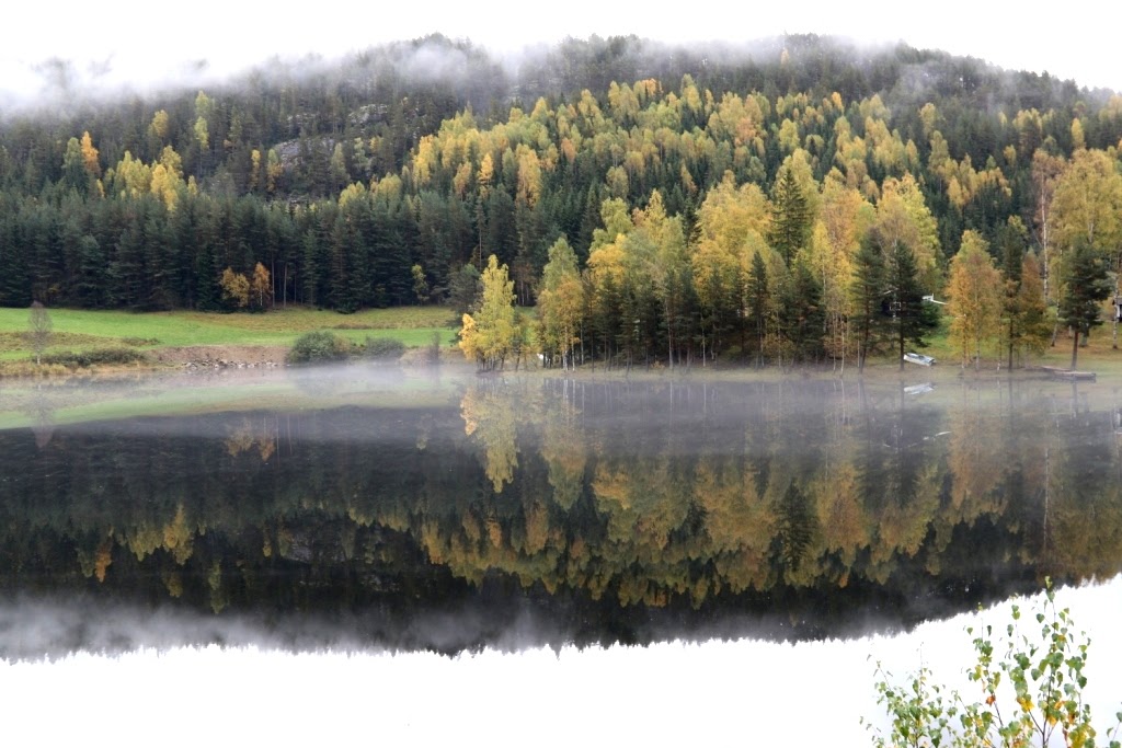 Fiordes Noruegueses Balestrand Cel (5)