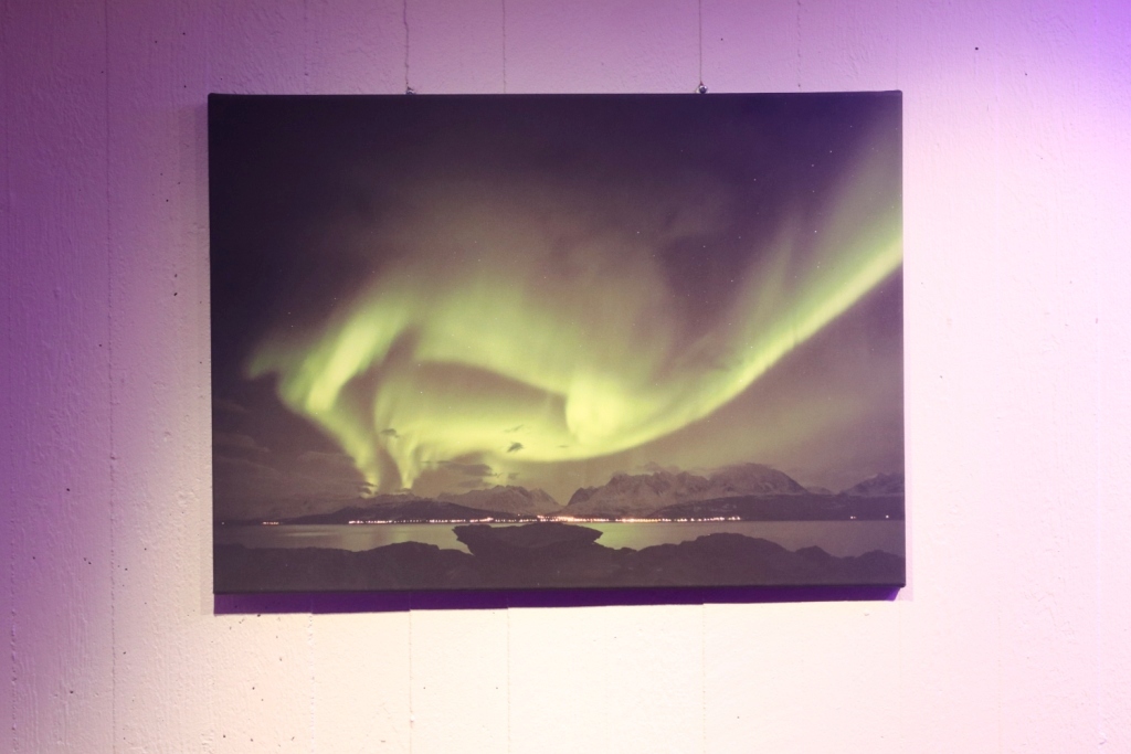 Tromso 2017 - 9 (135)