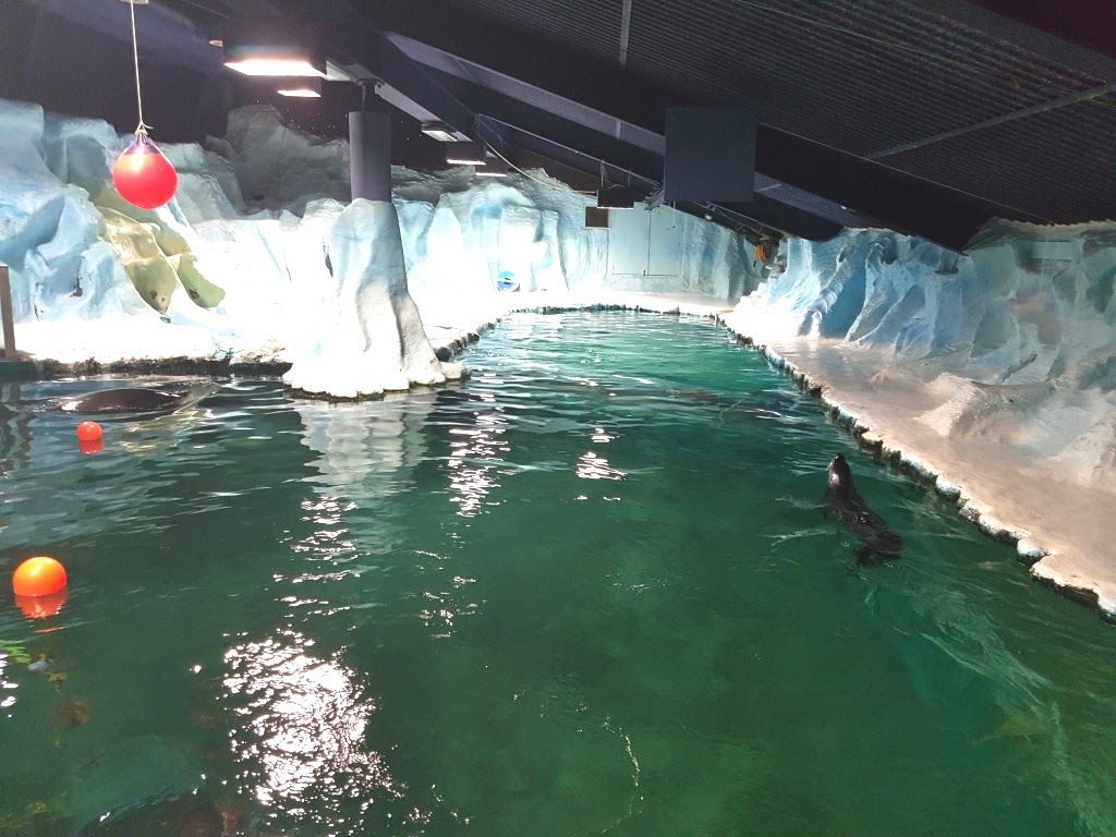 Tromso Celular 2017 (15)
