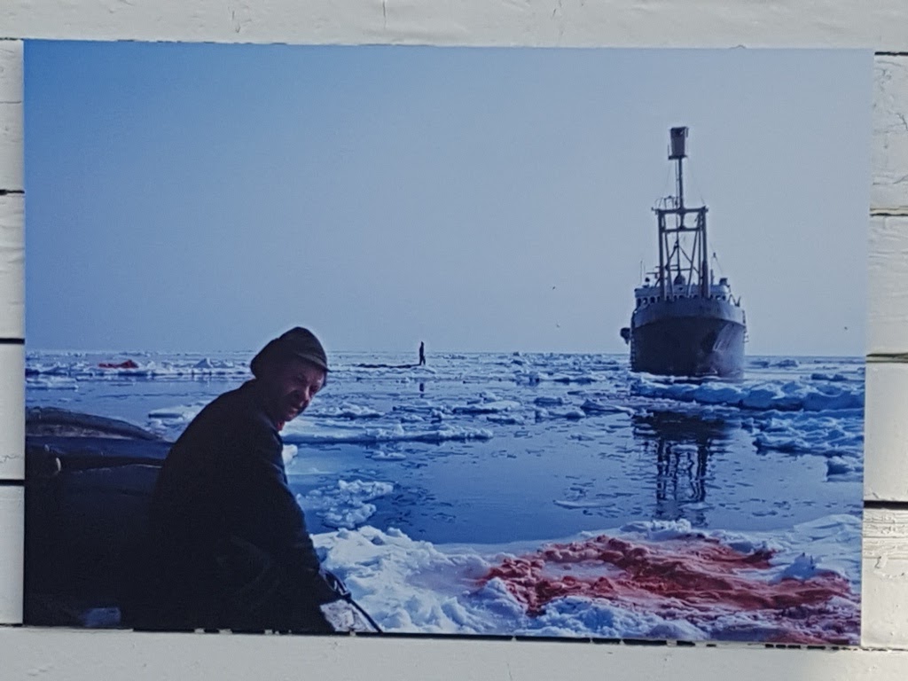 Tromso Celular 2017 (3)