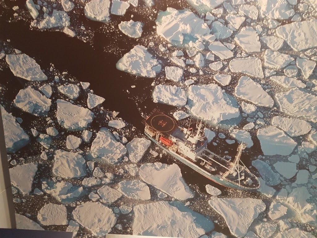 Tromso Celular 2017 (8)