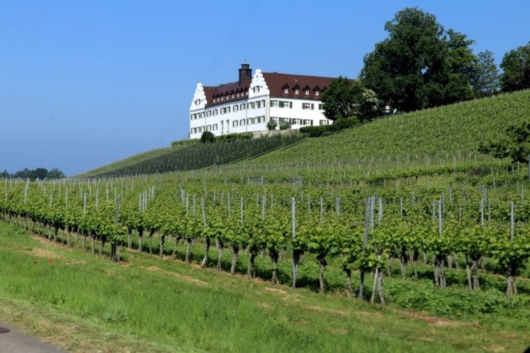 Konstanz - Constanca - Alemanha 2019 (9)