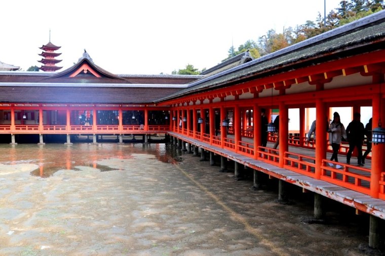 Miyajima 2019 (18)