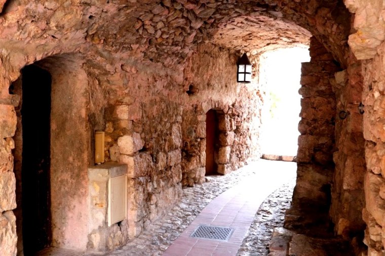 Riviera Francesa - Eze - 2019 (14)