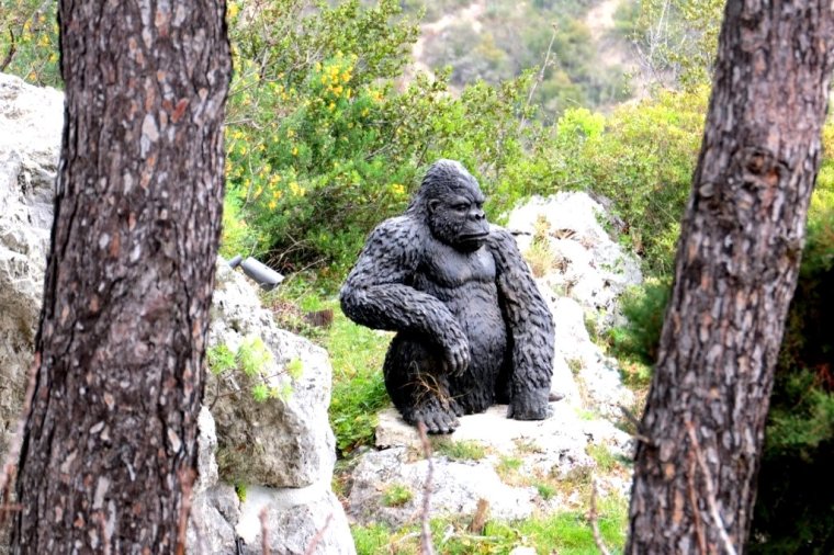 Riviera Francesa - Eze - 2019 (9)