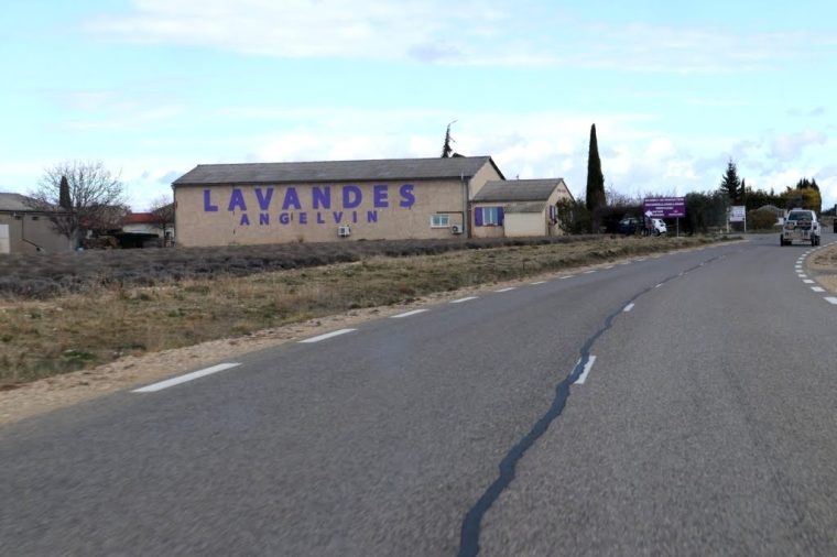 Valensole - Provence 2019 (1)