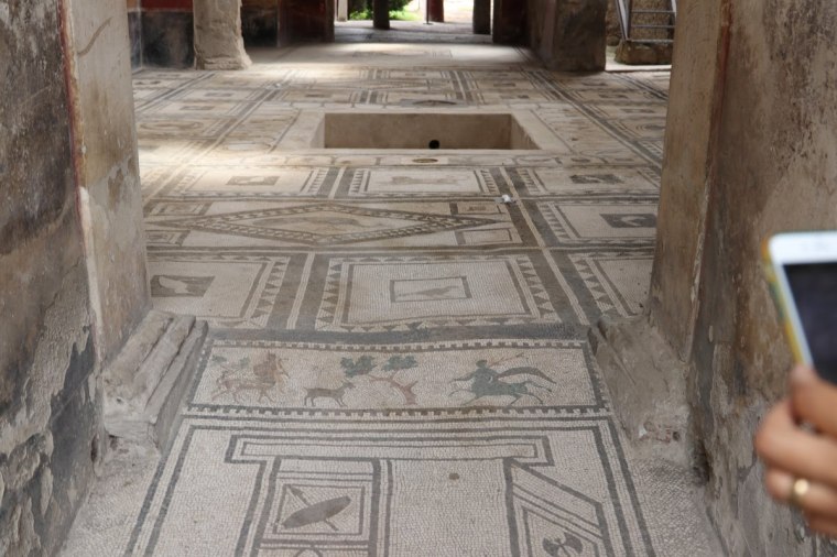 Pompeia - 2018 e 2019 (22)