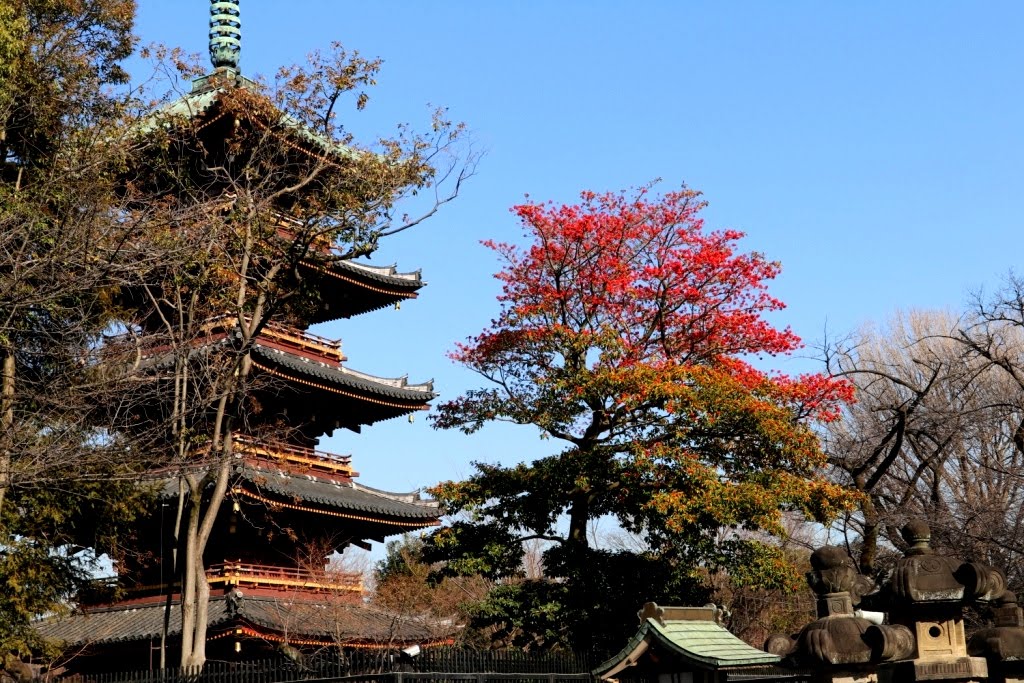 Tokio - Japao 2019 (10)