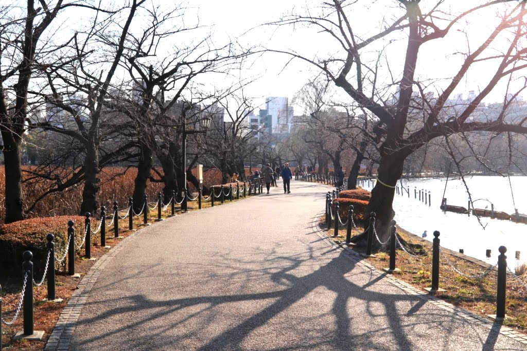 Tokio - Japao 2019 (11)