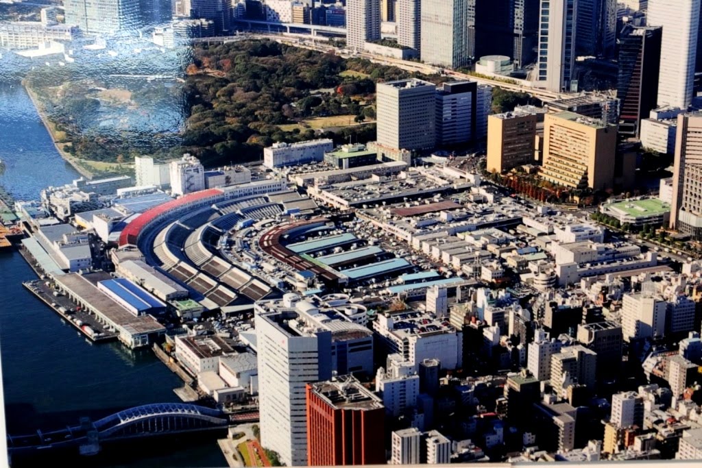 Tokio - Japao 2019 (22)