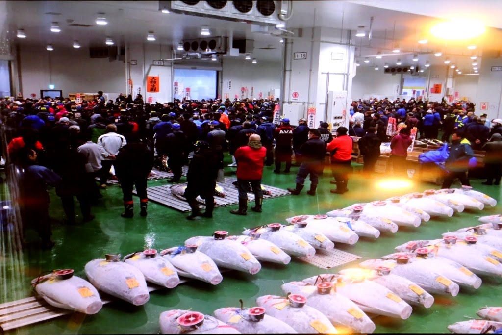 Tokio - Japao 2019 (25)