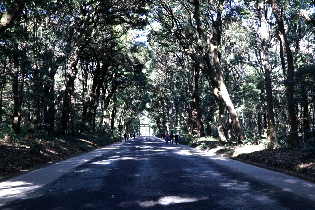 Tokio - Japao 2019 (56)