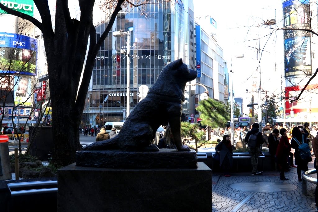 Tokio - Japao 2019 (60)