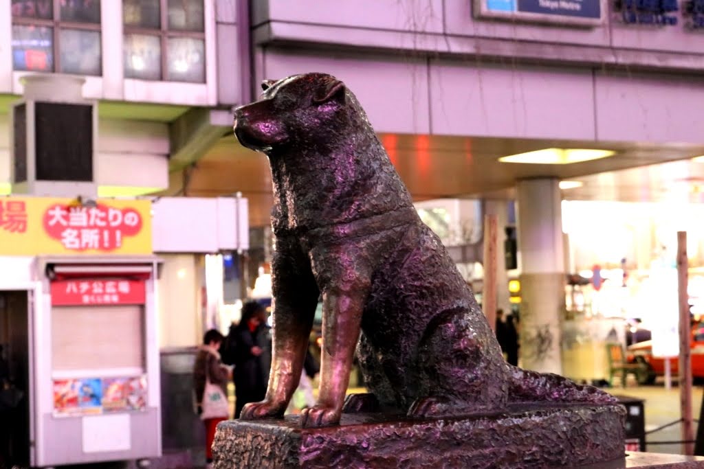 Tokio - Japao 2019 (69)