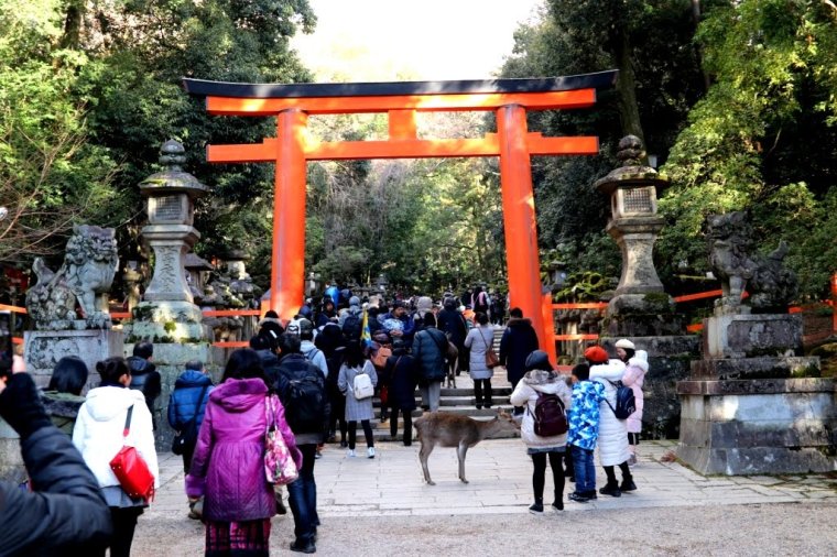 Nara Japao 2019 (13)