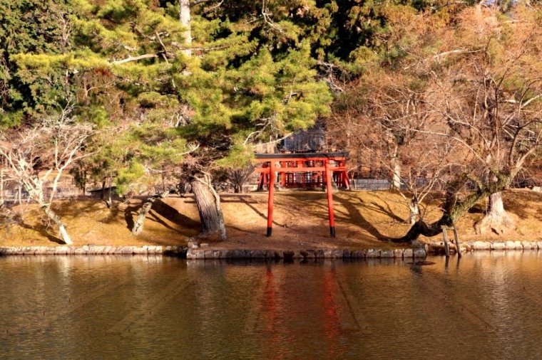 Nara Japao 2019 (17)