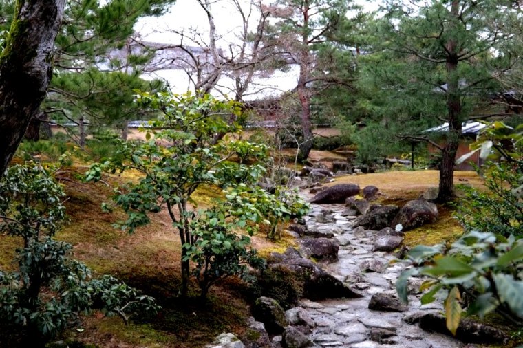 Kyoto - Japao - 2019 (14)